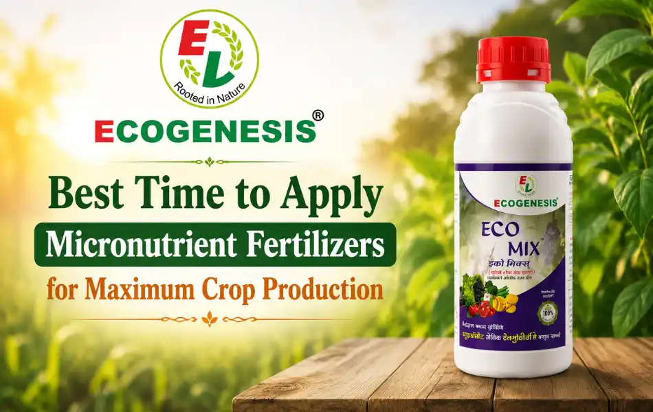 Best Time to Apply Micronutrient Fertilizers for Maximum Crop Production