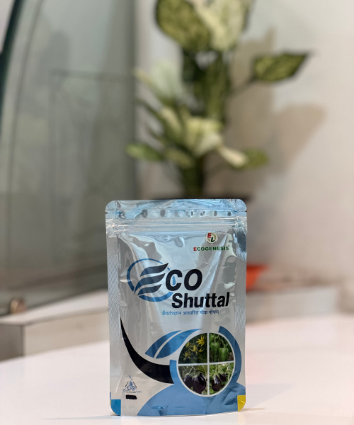 Eco Shuttle