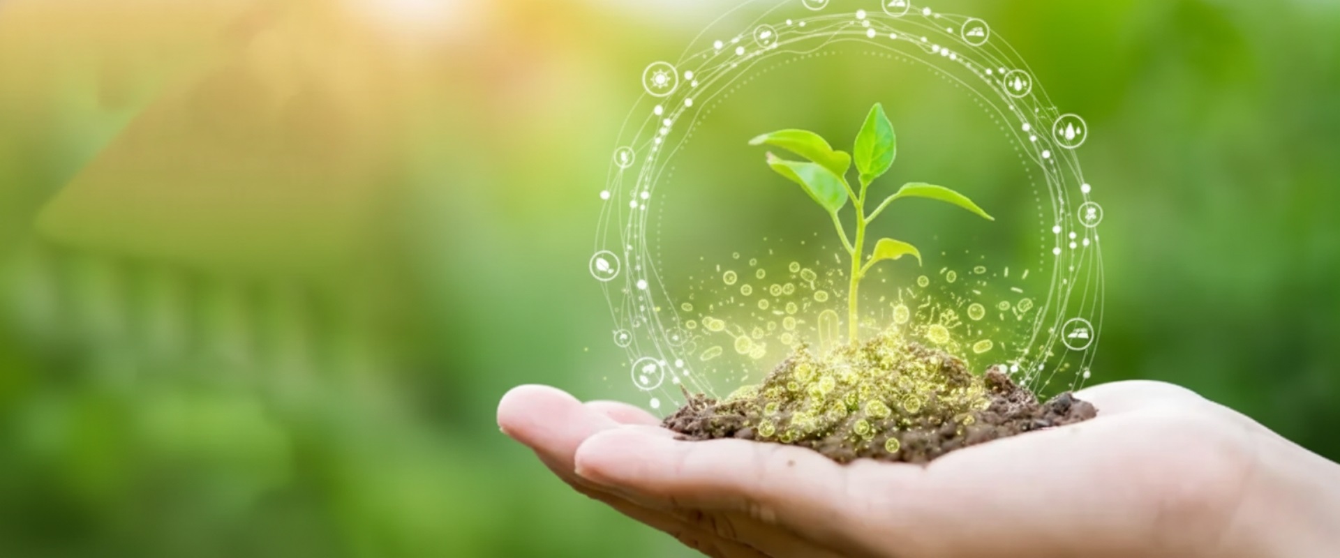 Ecogenesis Agriculture